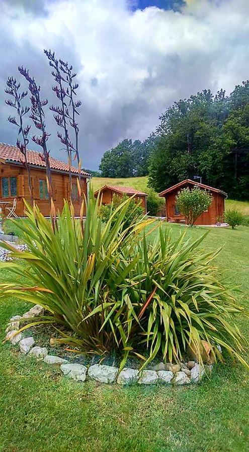 Chalet Charmant A Dausse Avec Piscine Et Jardin Exterior photo