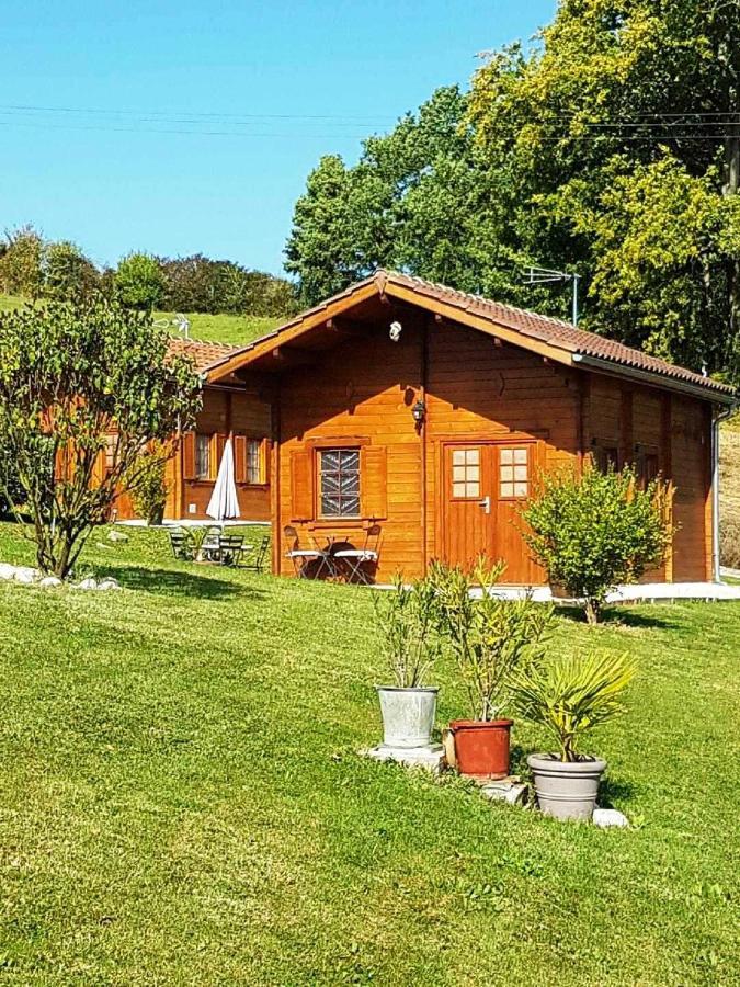 Chalet Charmant A Dausse Avec Piscine Et Jardin Exterior photo